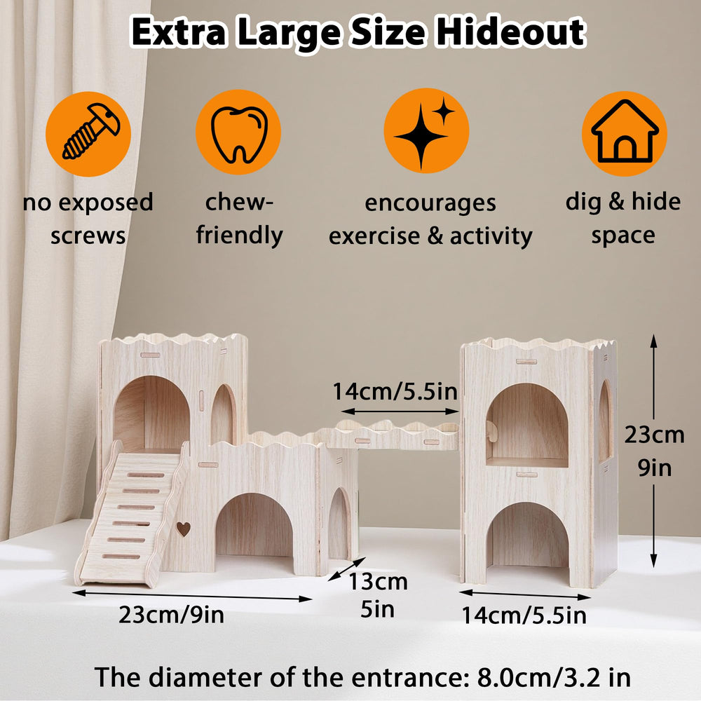 Jevnd comparaison taille hamsters illustrant espace adapté pour plusieurs pets