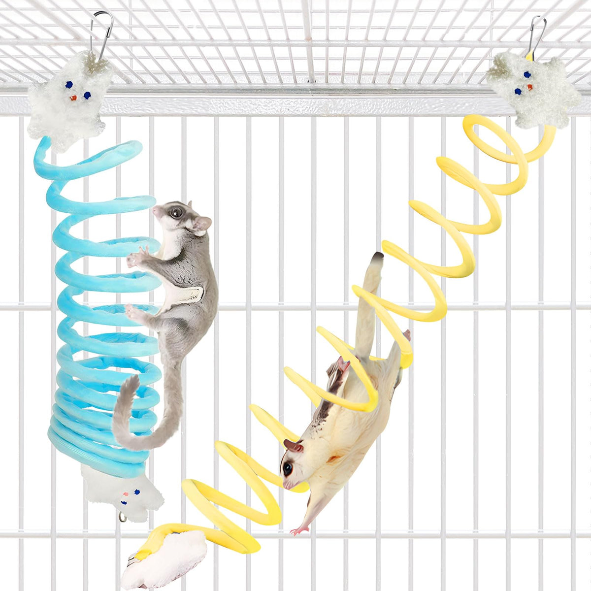 Jevnd vue avant des deux cordes élastiques prêtes à être installées, enrichit la cage