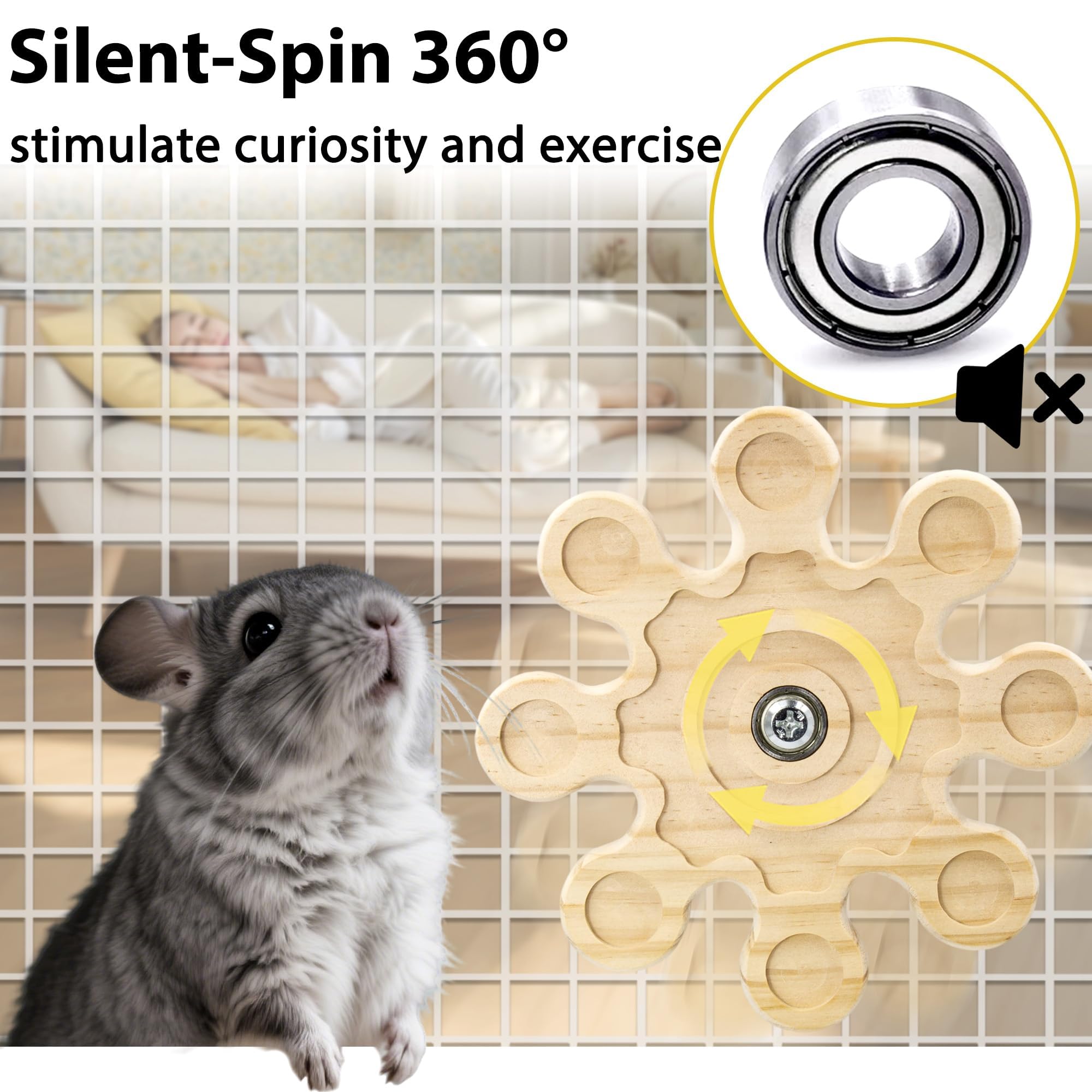 Chinchilla jouant avec Jevnd, rotation stimule l’activité