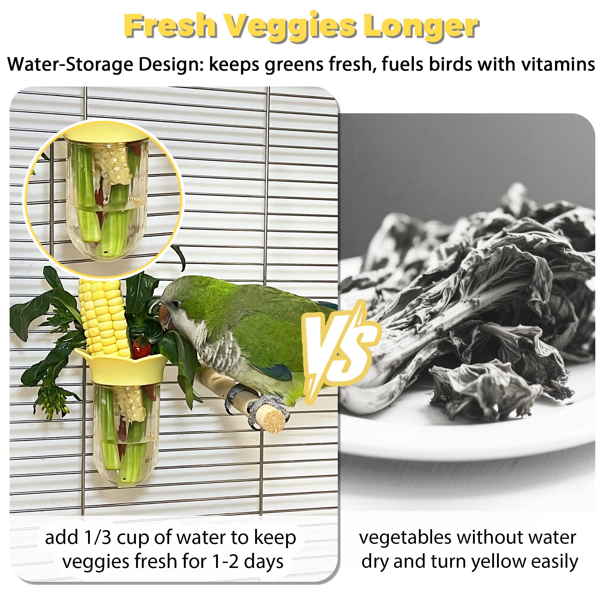 Jevnd réservoir d'eau gros plan conservant légumes frais plus longtemps