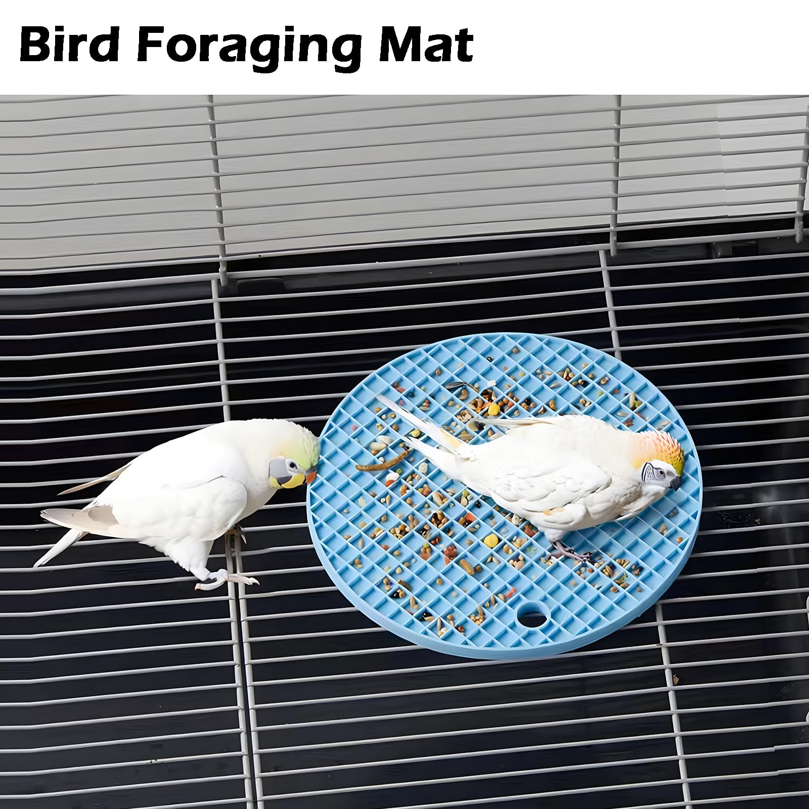 Jevnd tapis mise en scène cage offrant enrichissement et réduction ennui