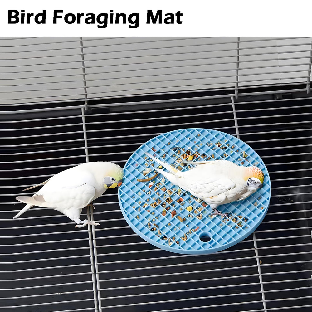 Jevnd tapis mise en scène cage offrant enrichissement et réduction ennui