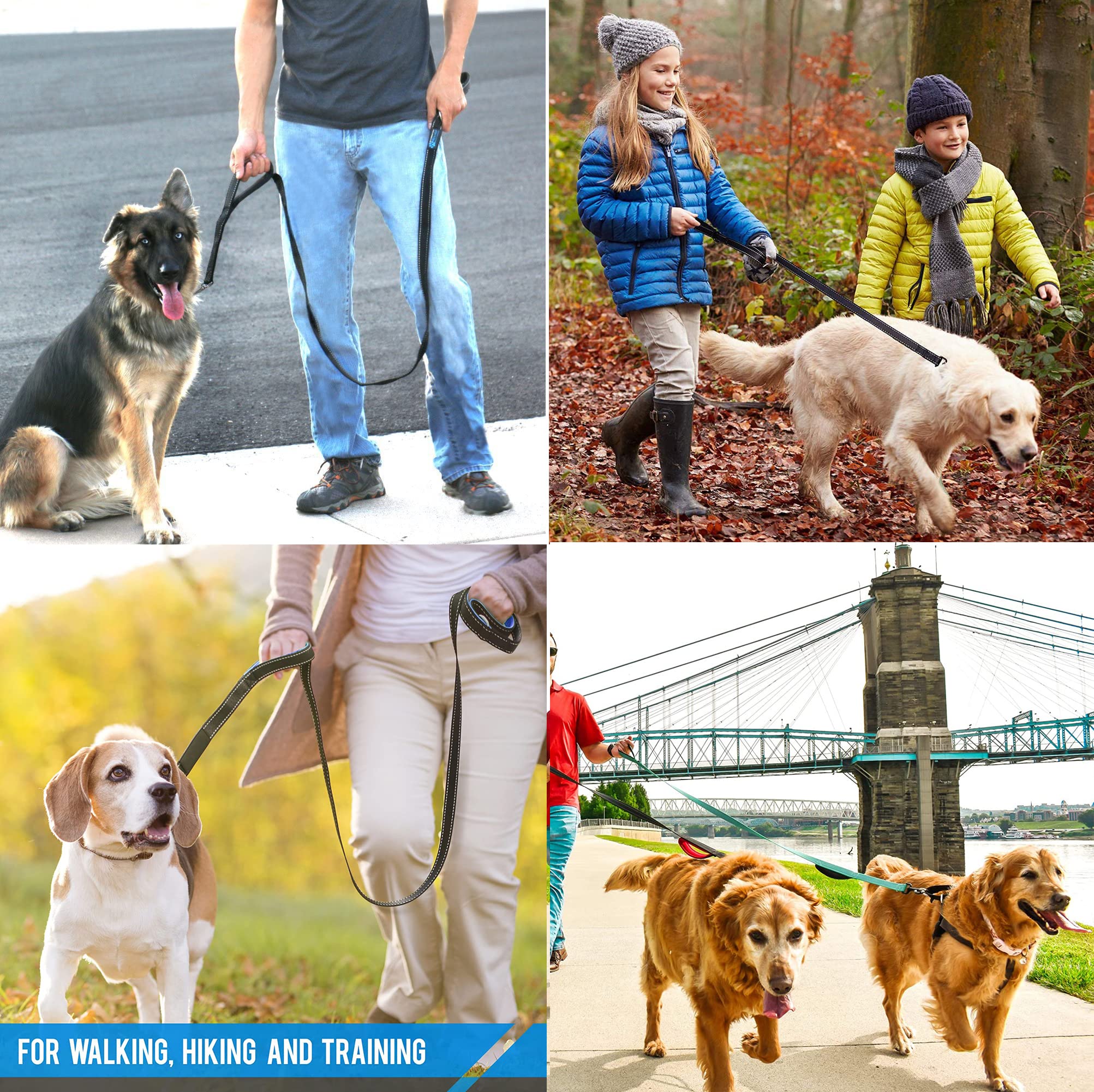 JEWOSTER comparaison taille montrant longueur 6ft adaptée aux chiens moyens