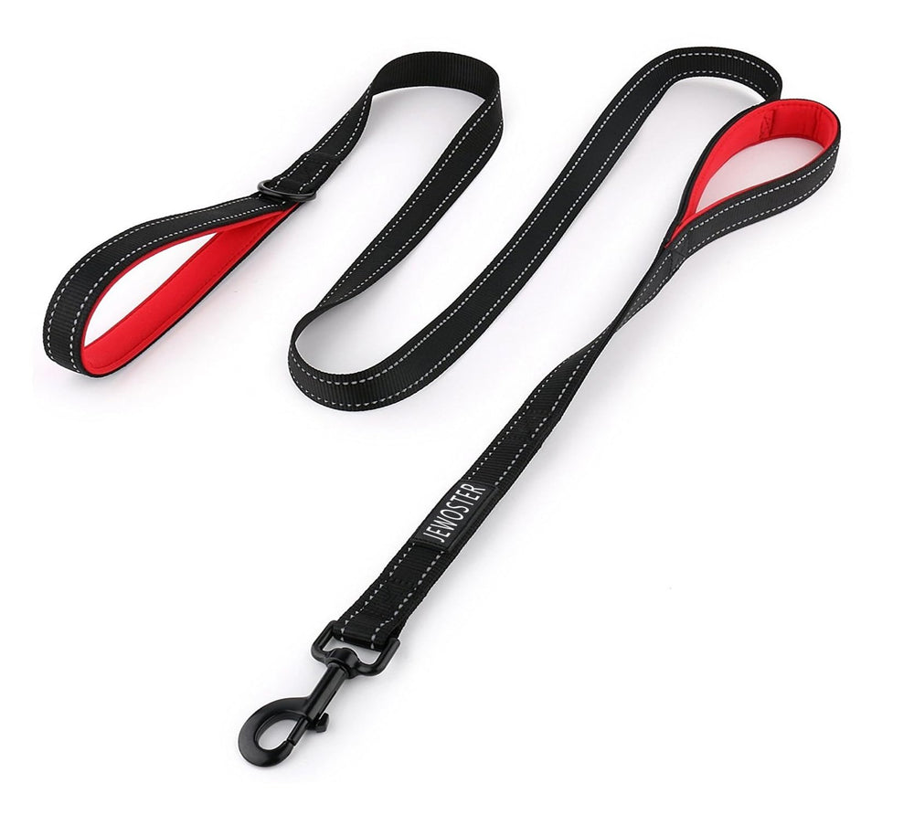 JEWOSTER laisse face avant montrant design robuste et longueur pratique