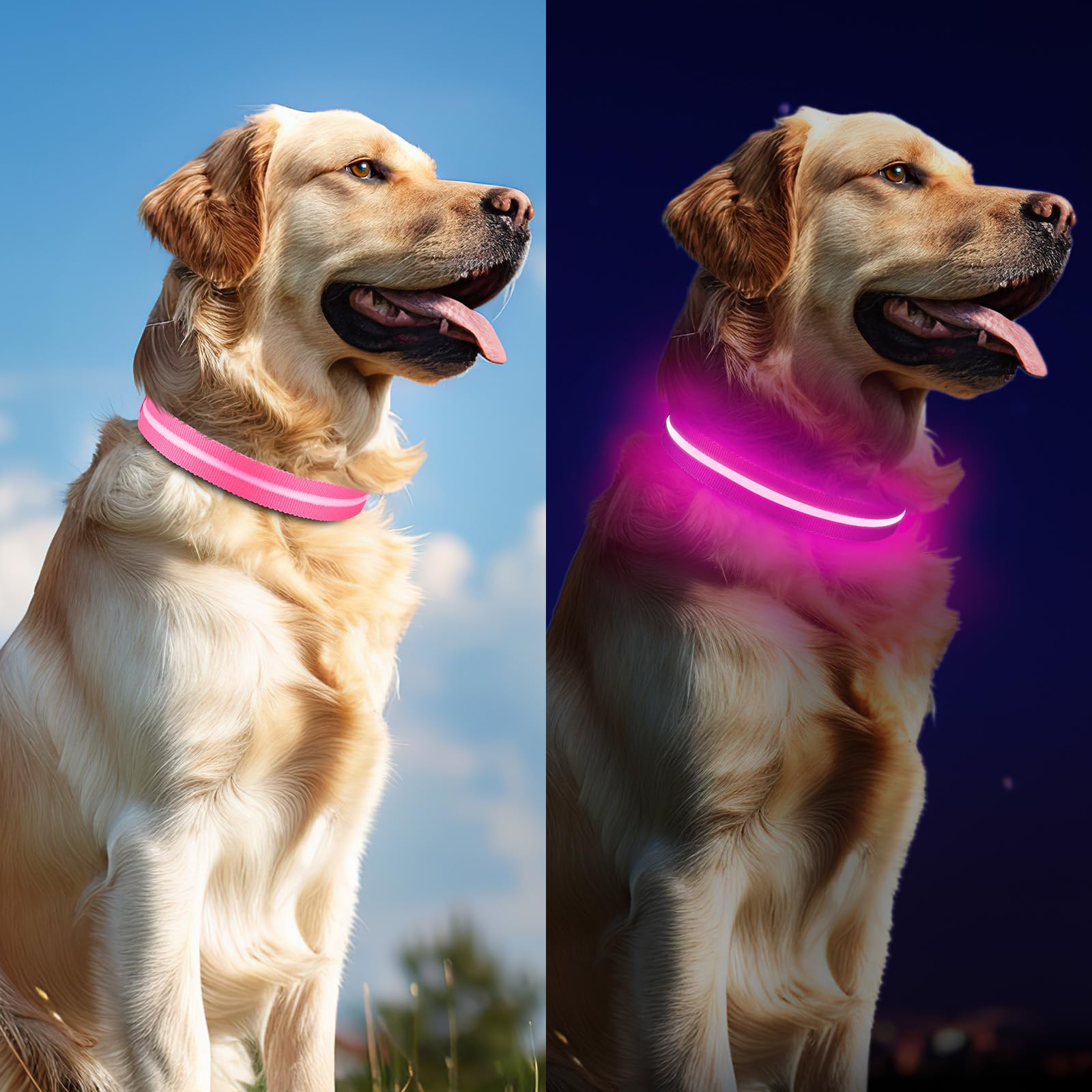Jewyow collier lumineux en camping offrant visibilité et tranquillité