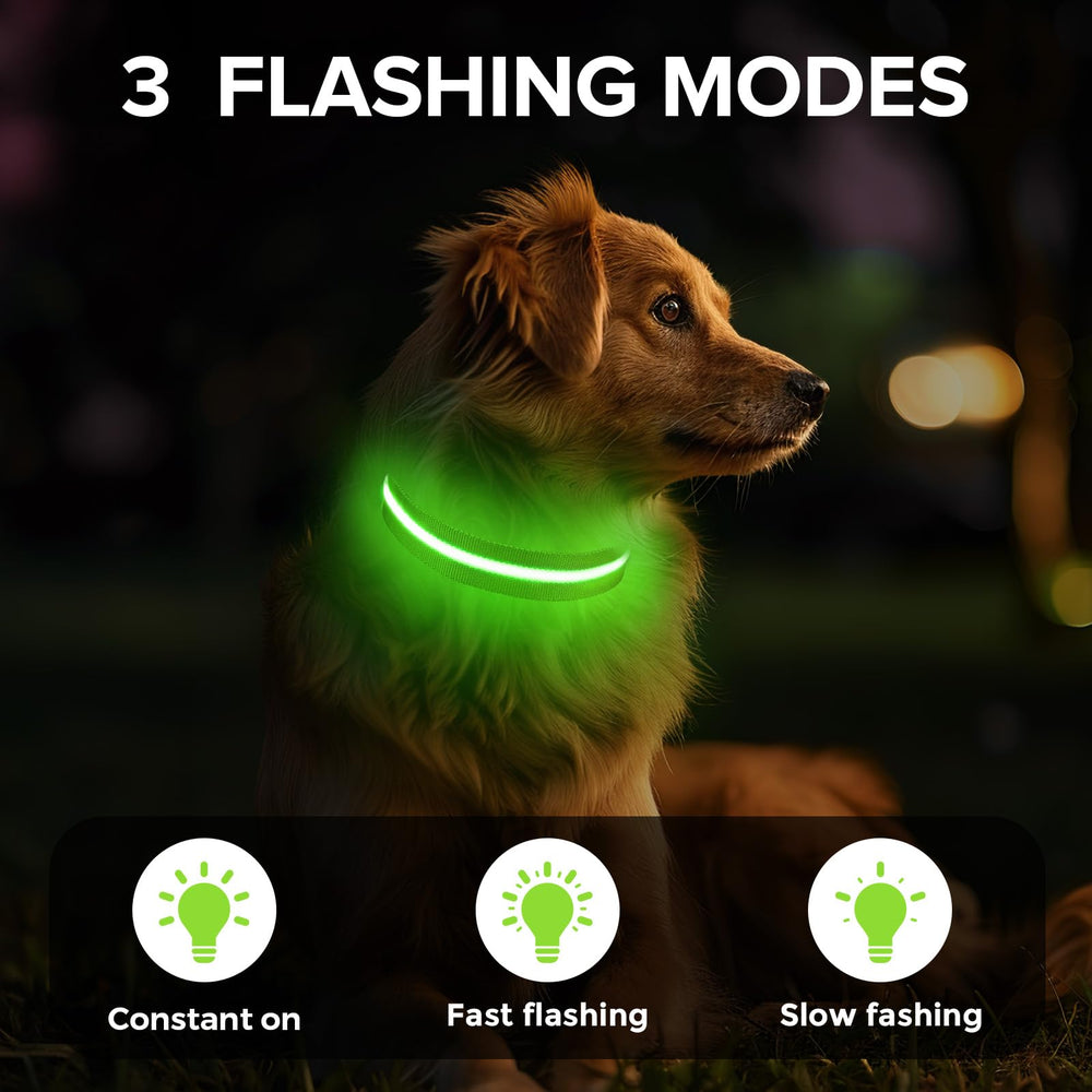 Jewyow collier porté par chien la nuit améliorant la sécurité