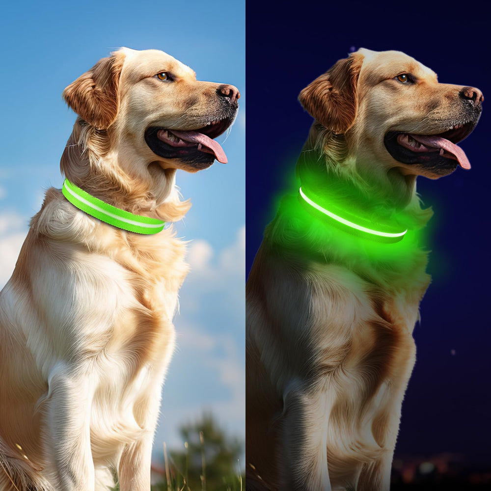 Jewyow gros plan sur fibres optiques montrant une lumière uniforme