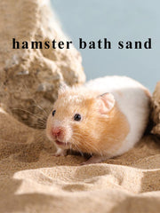 JFWOD gros plan du sable montrant texture fine et uniforme pour toilettage