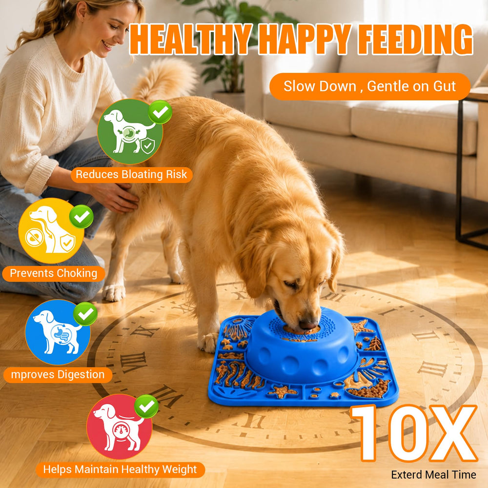 JHMFDDSB gamelle en usage par un chien pour enrichissement mental et alimentation
