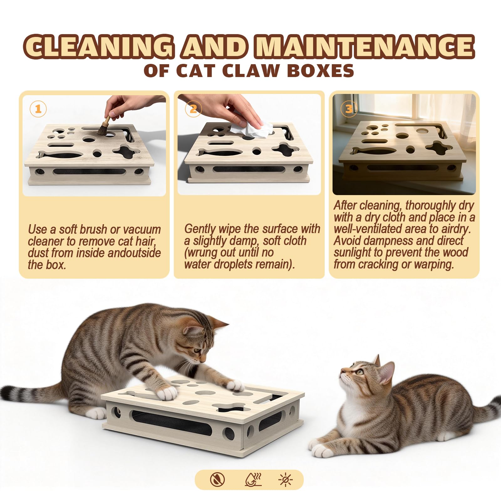 JHMFDDSB comparaison taille montrant adaptabilité aux chats