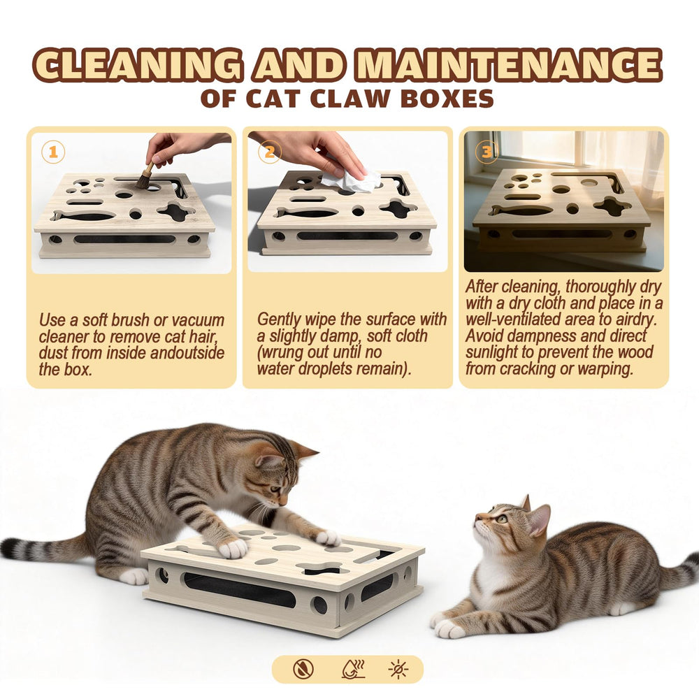 JHMFDDSB comparaison taille montrant adaptabilité aux chats
