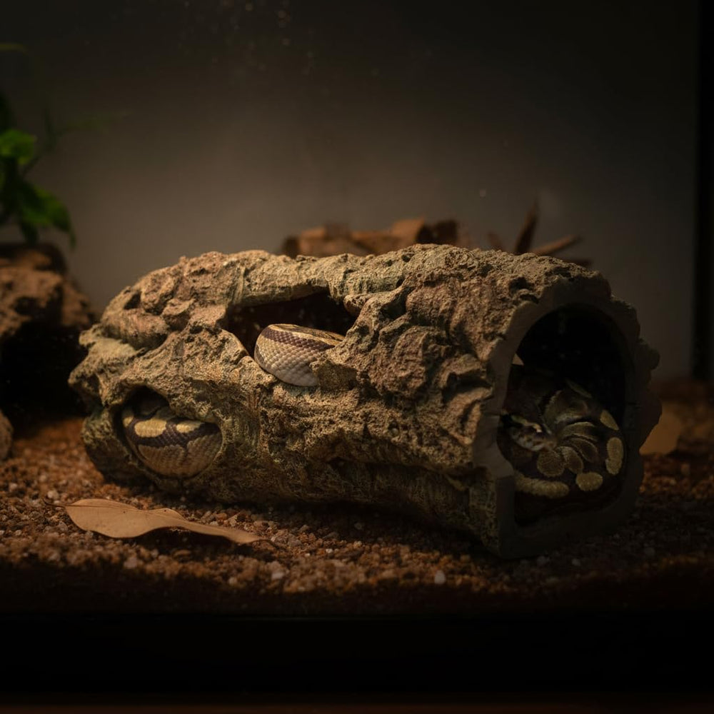 JIHAQUA mise en scène naturelle valorisant esthétique et hygiène du terrarium
