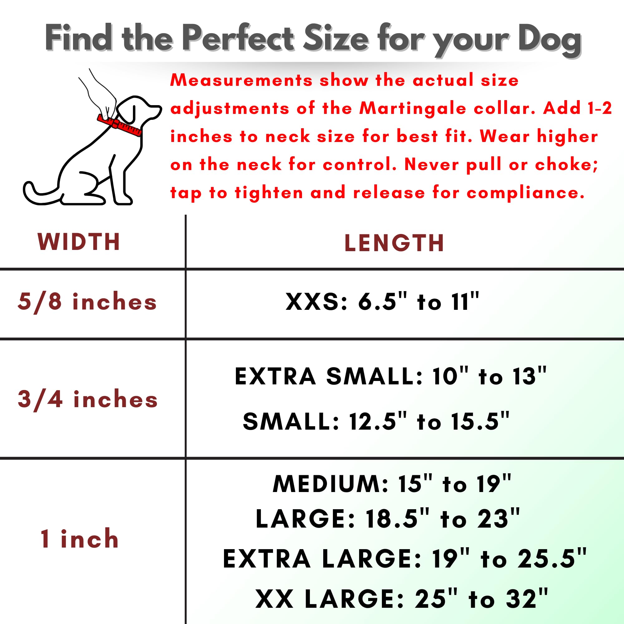JIM HODGES DOG TRAINING collier tenu à la main pour montrer l'échelle, adapté medium