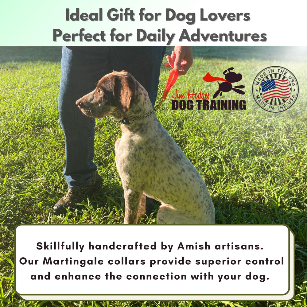 JIM HODGES DOG TRAINING collier en extérieur sous pluie, imperméable et facile à nettoyer