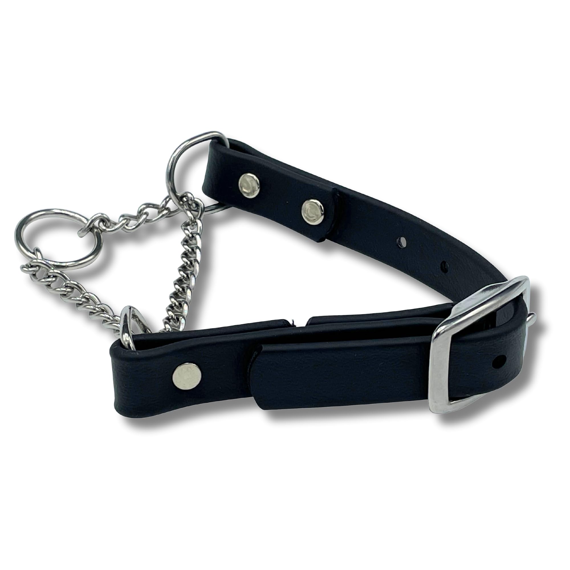 JIM HODGES DOG TRAINING collier martingale face avant, robustesse et contrôle