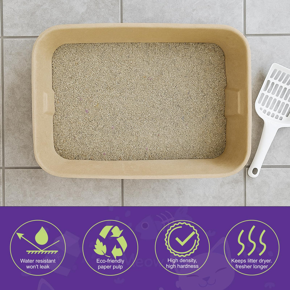 JINVOGREEN comparaison taille avec une main montrant dimensions compactes