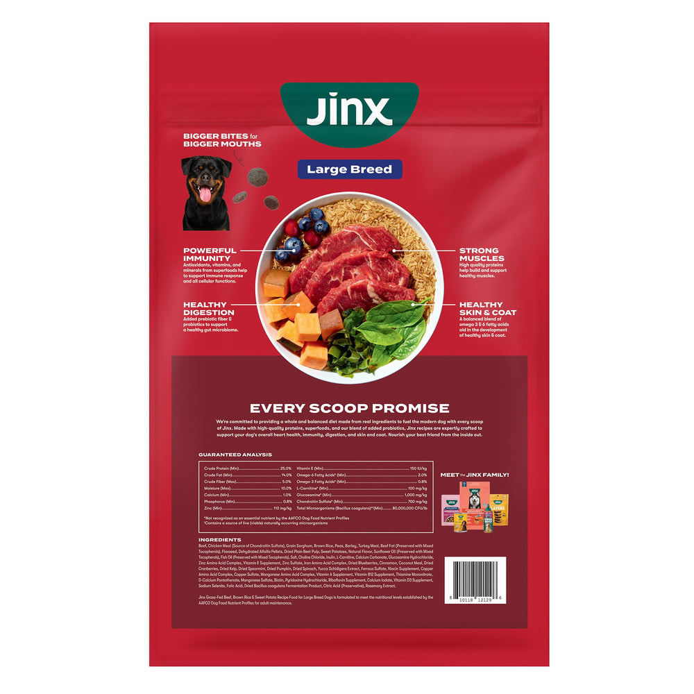 Jinx myrtilles et huile de poisson, acides gras et antioxydants pour pelage