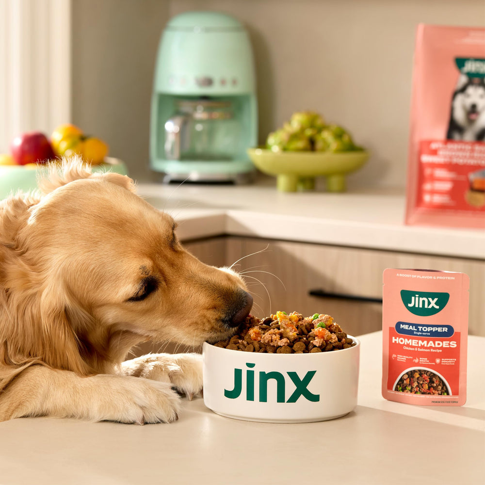 Jinx sachet ouvert sur croquettes améliorant saveur et appétit du chien