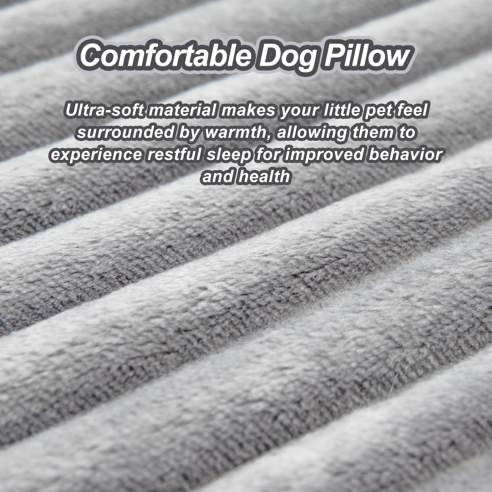 Coussin Jiupety à côté d'un objet pour montrer taille et échelle