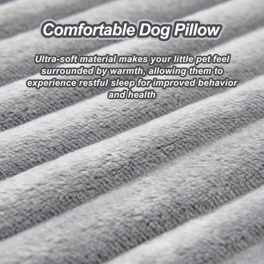 Coussin Jiupety à côté d'un objet pour montrer taille et échelle