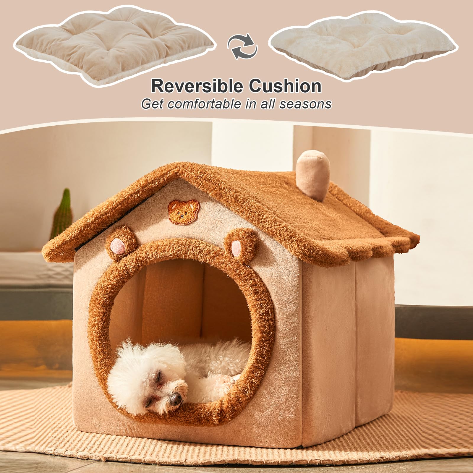 Jiupety comparaison d'échelle avec objet montrant dimensions adaptées aux petits animaux