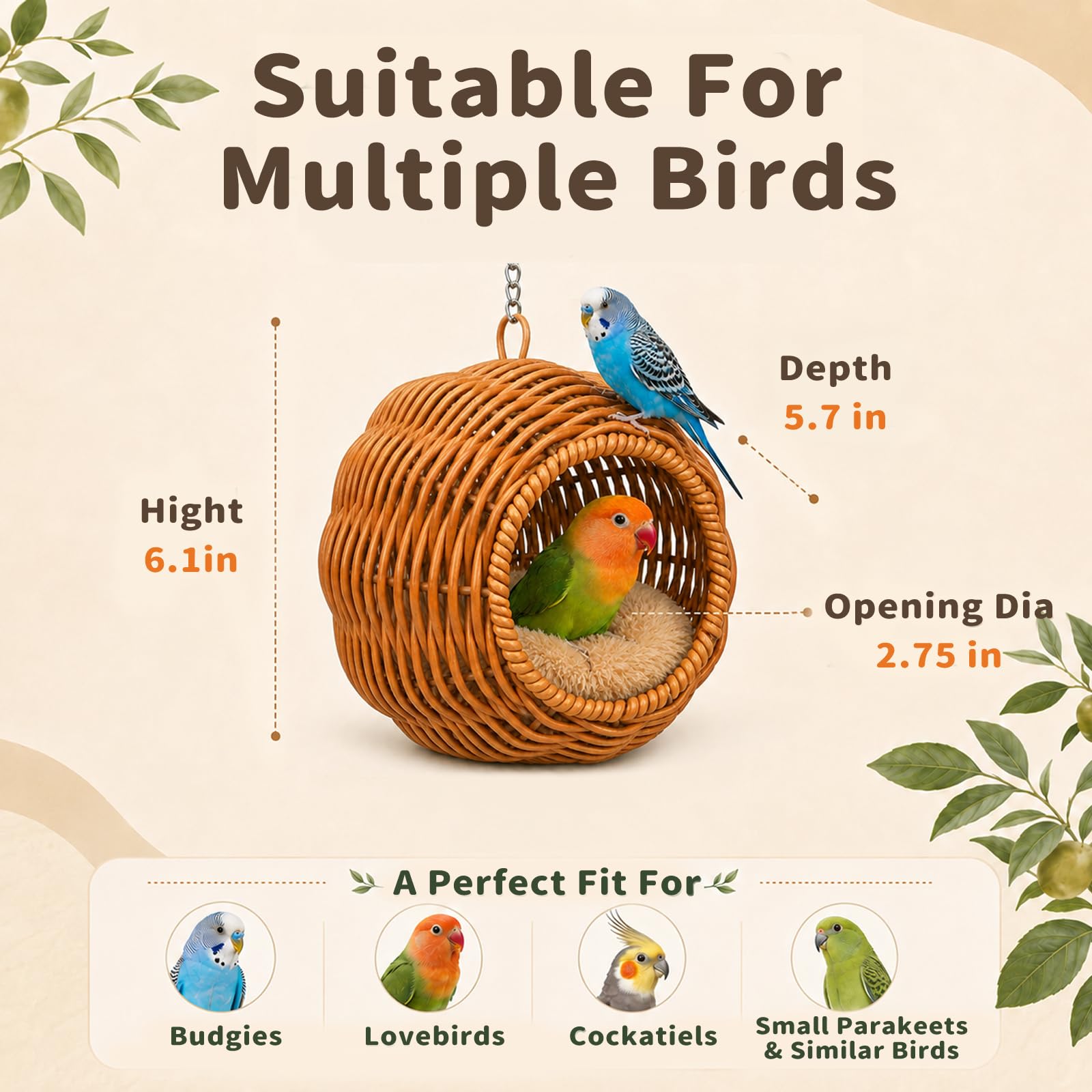 JIX SDFFAY comparaison taille pour perruches et petits oiseaux