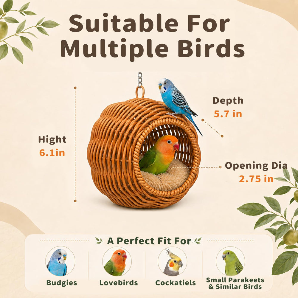 JIX SDFFAY comparaison taille pour perruches et petits oiseaux