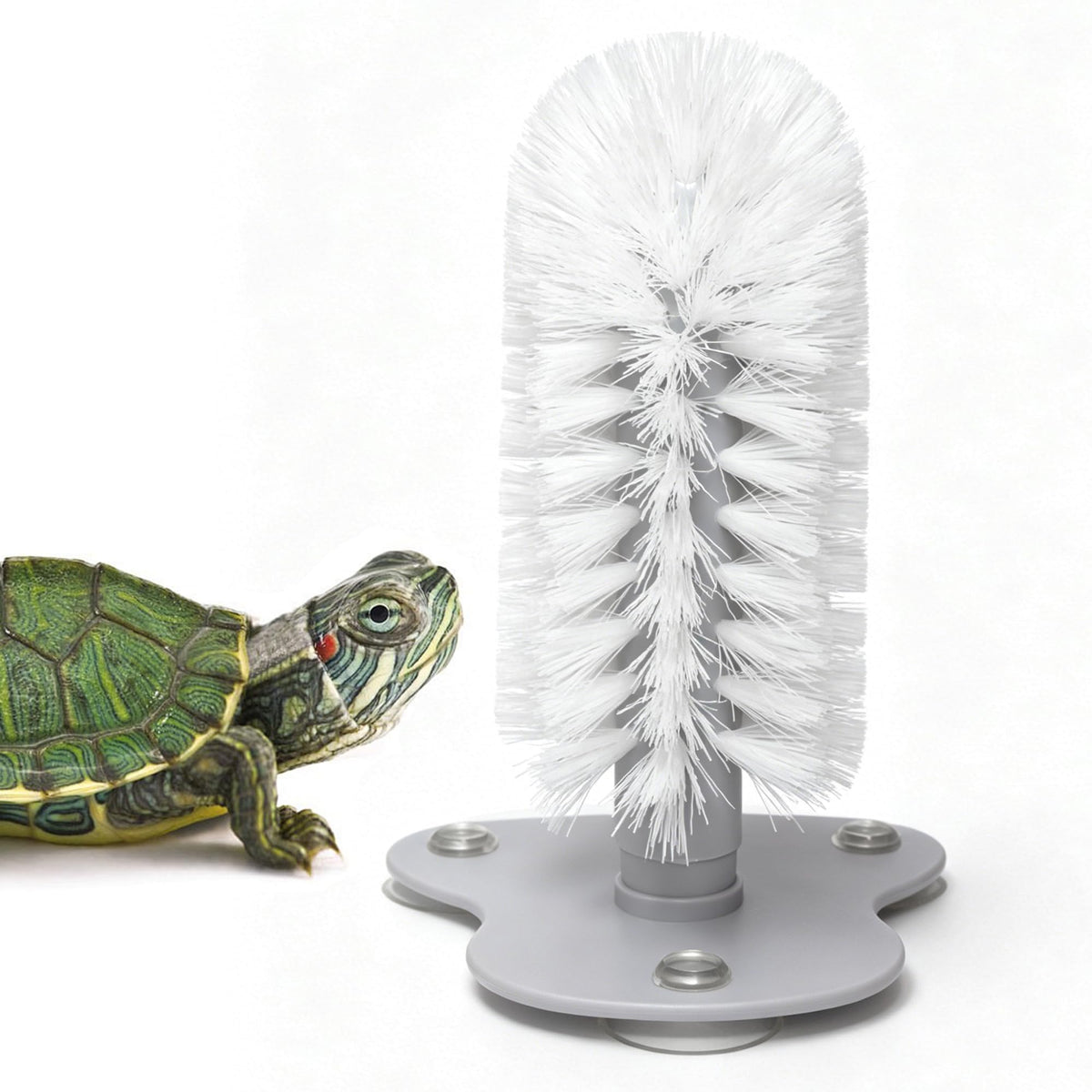 JJMOLLE brosse face montrant fixation stable et nettoyage efficace