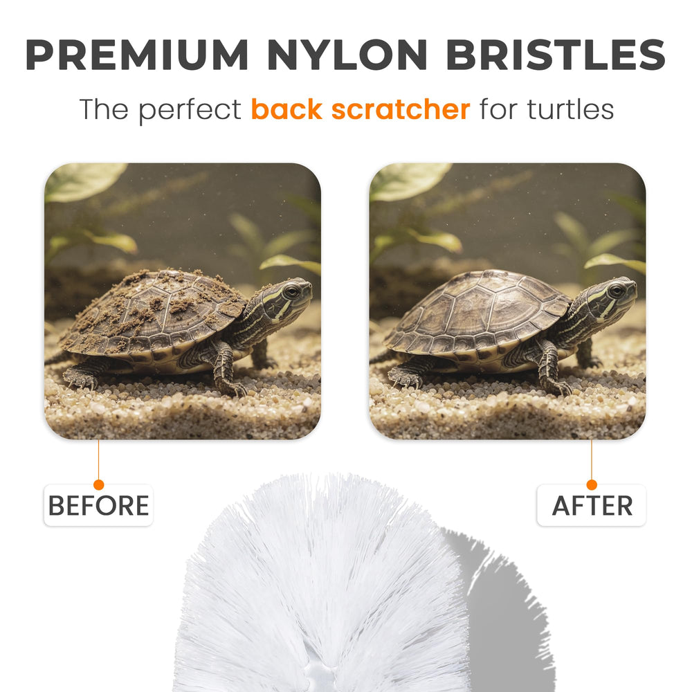 JJMOLLE brosse installée dans aquarium maintien sûr pendant mouvements