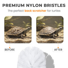 JJMOLLE brosse installée dans aquarium maintien sûr pendant mouvements