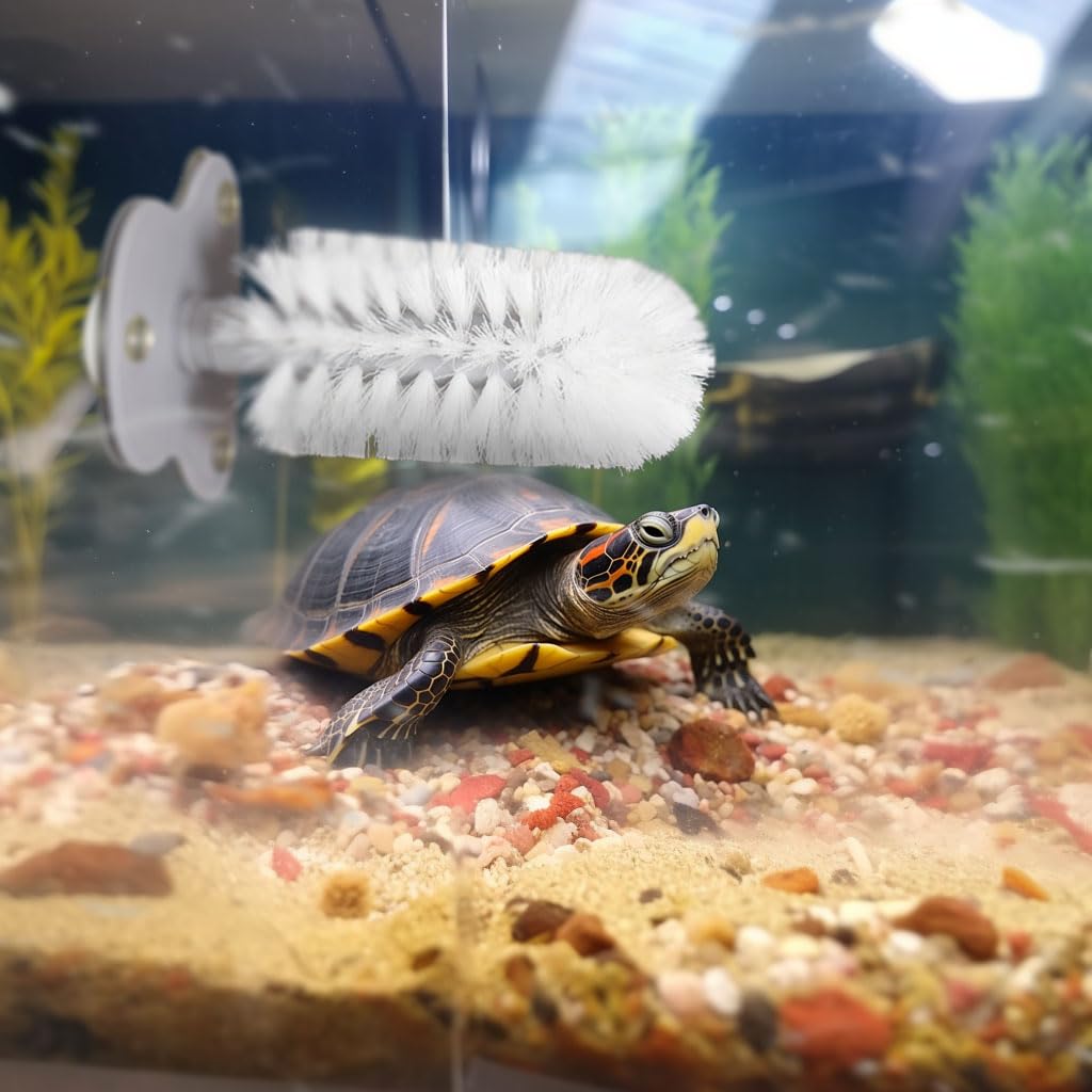JJMOLLE brosse en situation lifestyle pour entretien régulier tortue