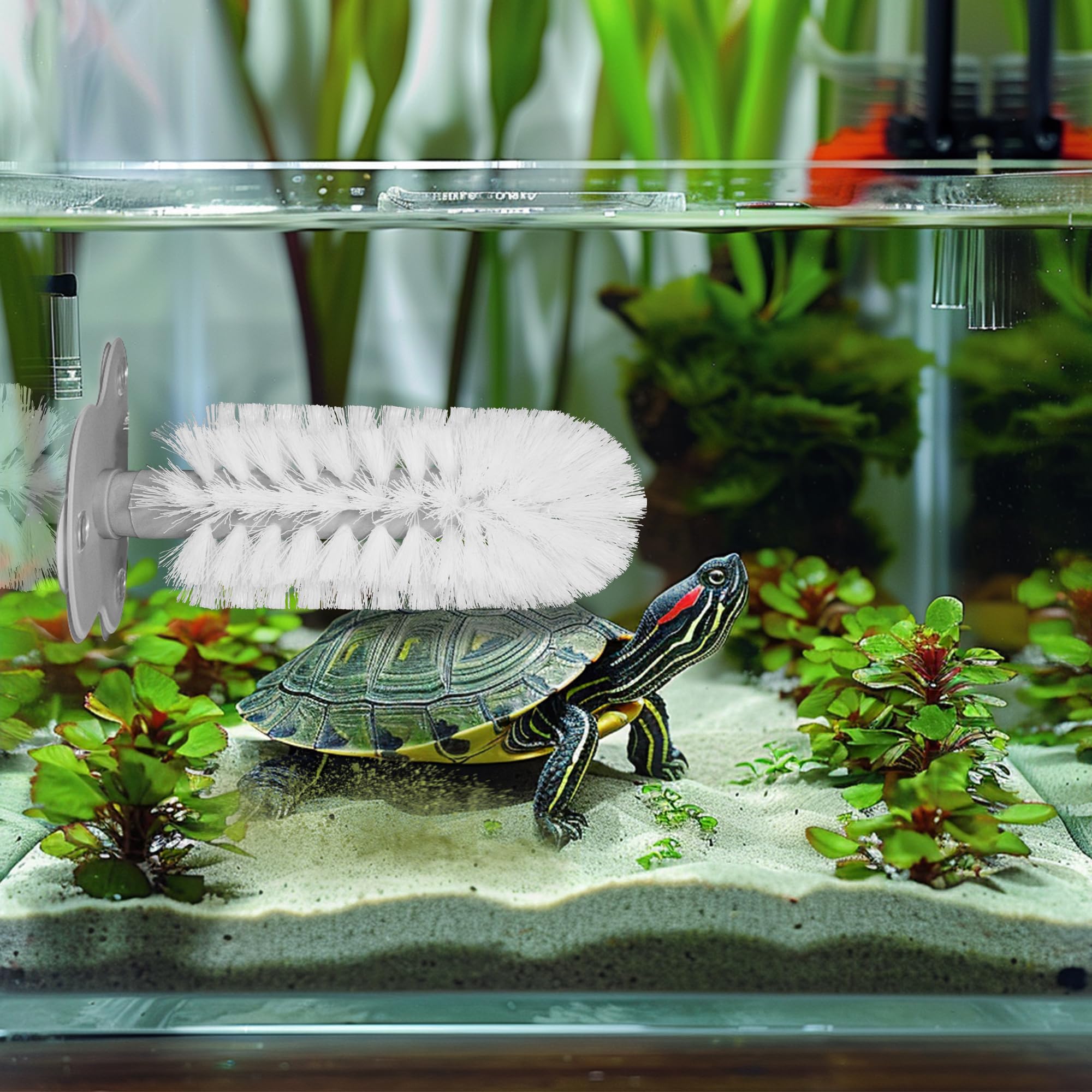 JJMOLLE ventouses en détail adhérence forte pour parois d'aquarium