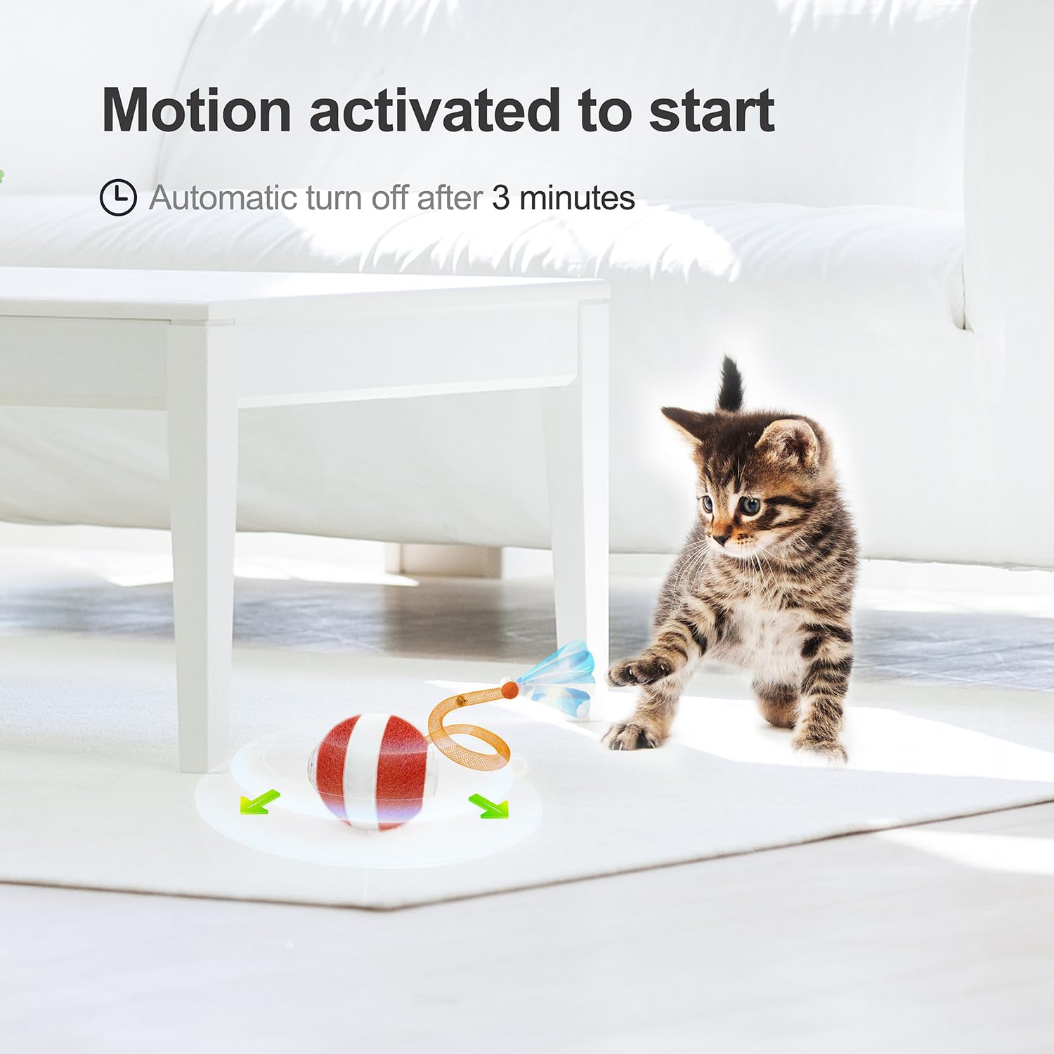Jkanti comparaison de taille près d’un chat adulte pour illustrer l’échelle du jouet