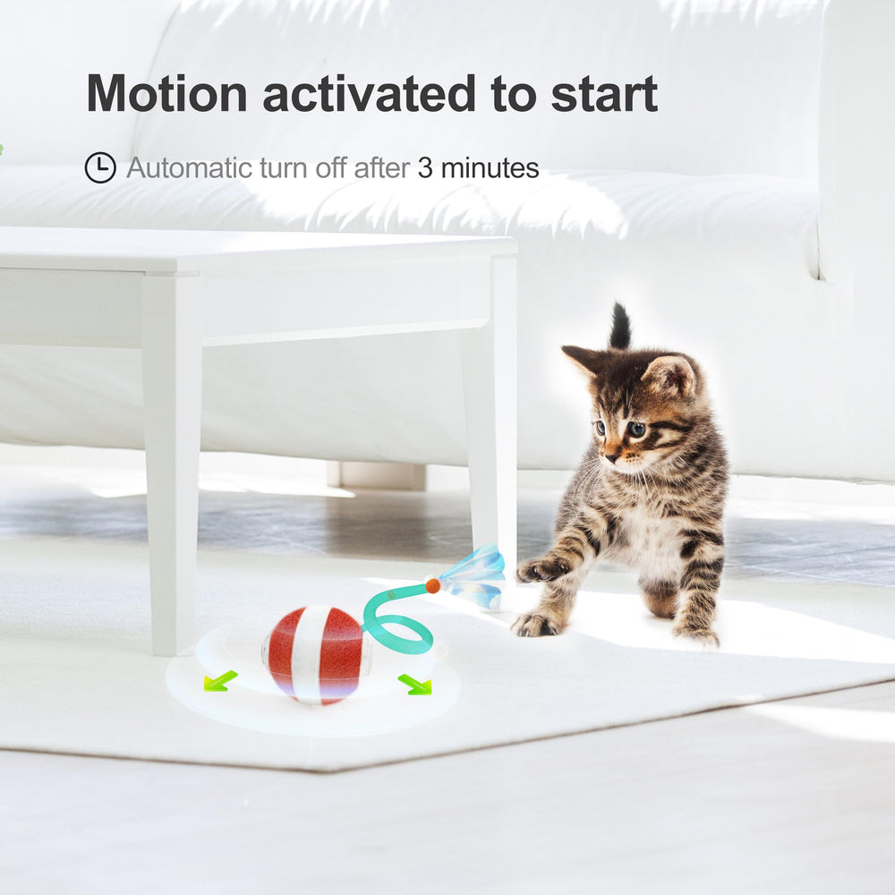 Jkanti comparaison taille avec une main montrant compacité et adaptation aux chats