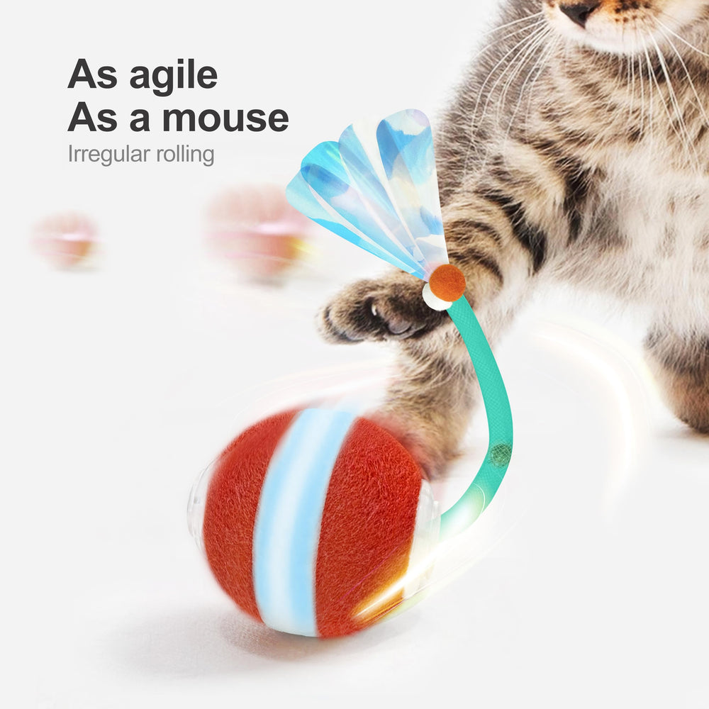 Jkanti détail flocage et silicone tactile offrant sécurité et confort au chat