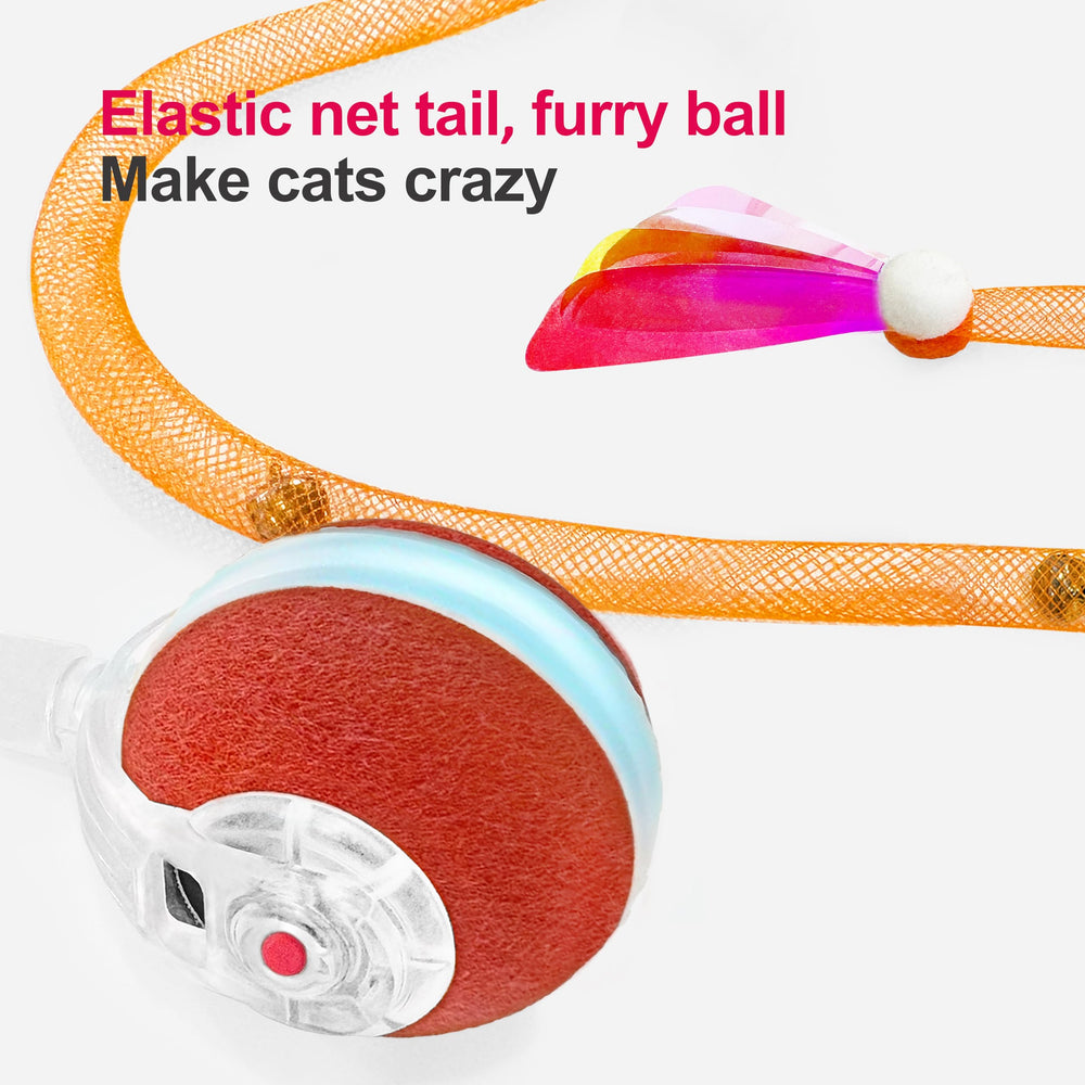Jkanti balle en action pendant qu’un chat la poursuit, favorise l’exercice et l’éveil