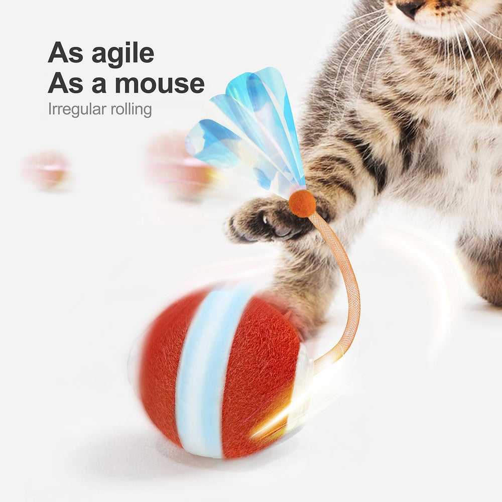 Jkanti gros plan du flocage et silicone de la balle, surface douce pour le confort du chat