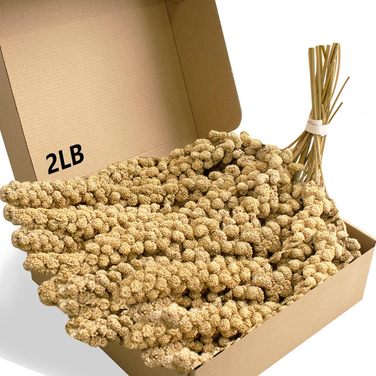 Jmxu's emballage face montrant le format 2 lb et la protection anti-humidité