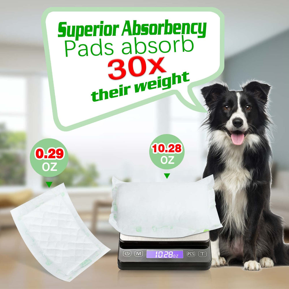 JOCCIK gros plan sur la surface en coton doux illustrant confort et douceur pour la peau canine