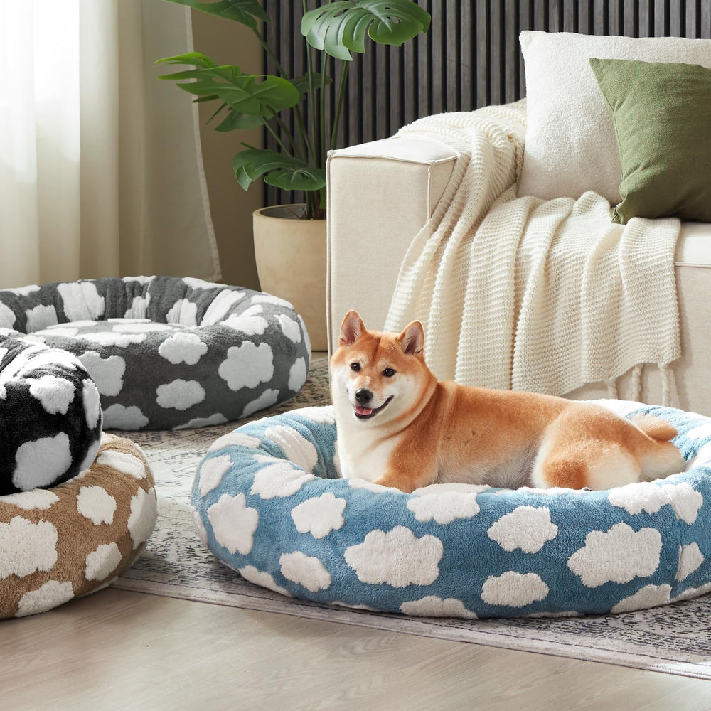 JOEJOY comparaison d'échelle montrant taille L pour grand chien