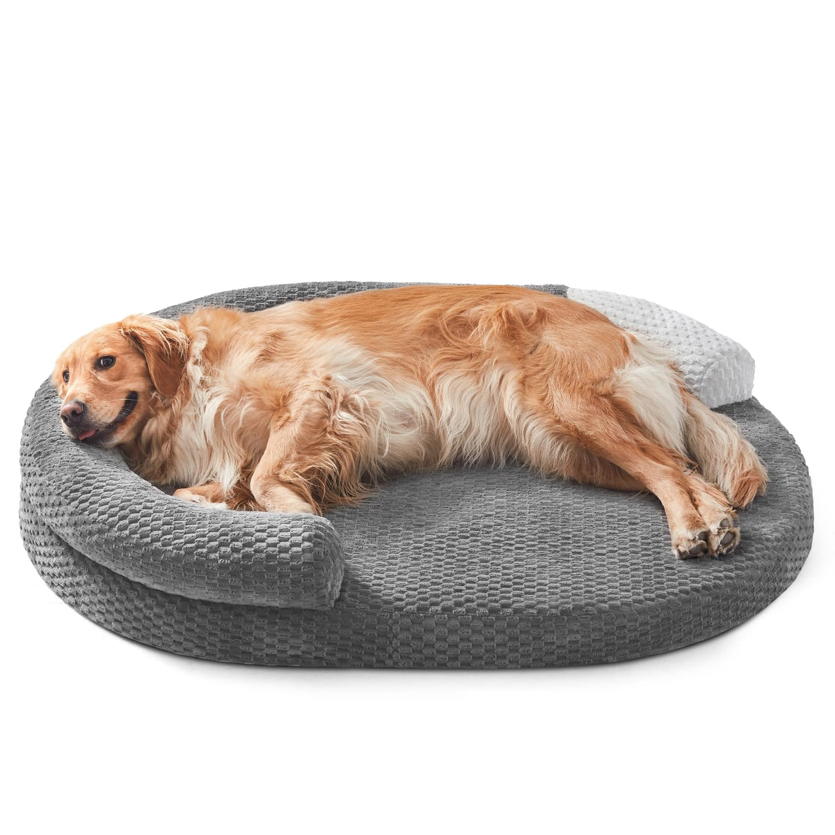 JOEJOY lit chien XXL face montrant silhouette ovale et confort