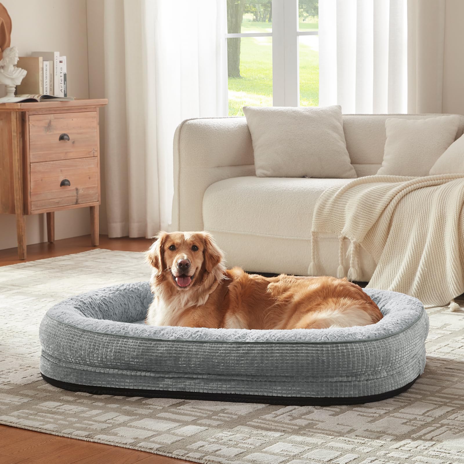 JOEJOY comparaison d'échelle montrant dimensions adaptées aux grands chiens