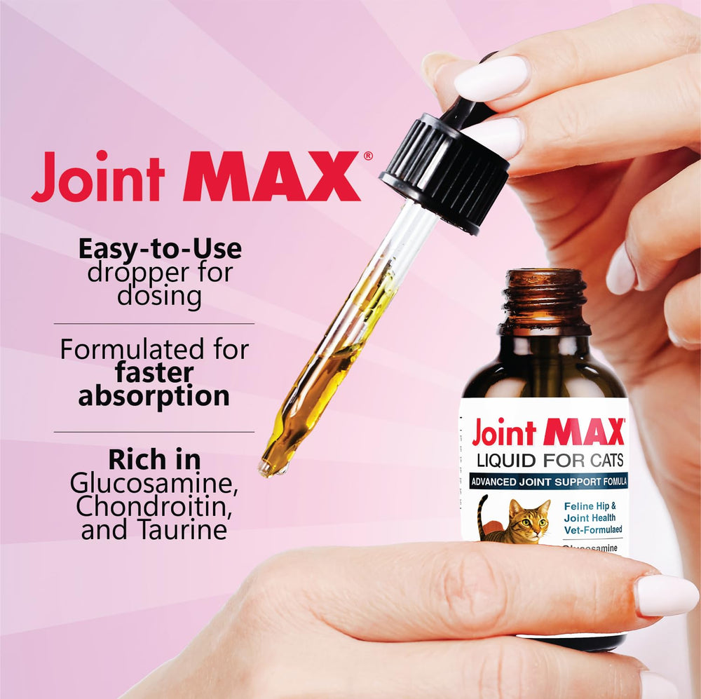 Joint Max chat buvant le supplément avec meilleure mobilité