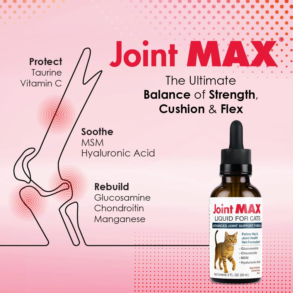Joint Max flacon en main avec doseur pour administration précise