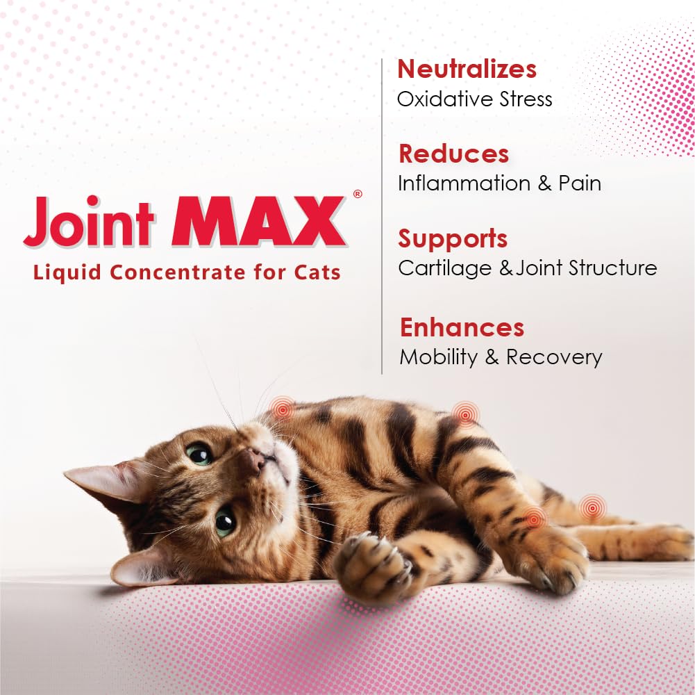 Joint Max texture liquide en gouttes pour une absorption rapide