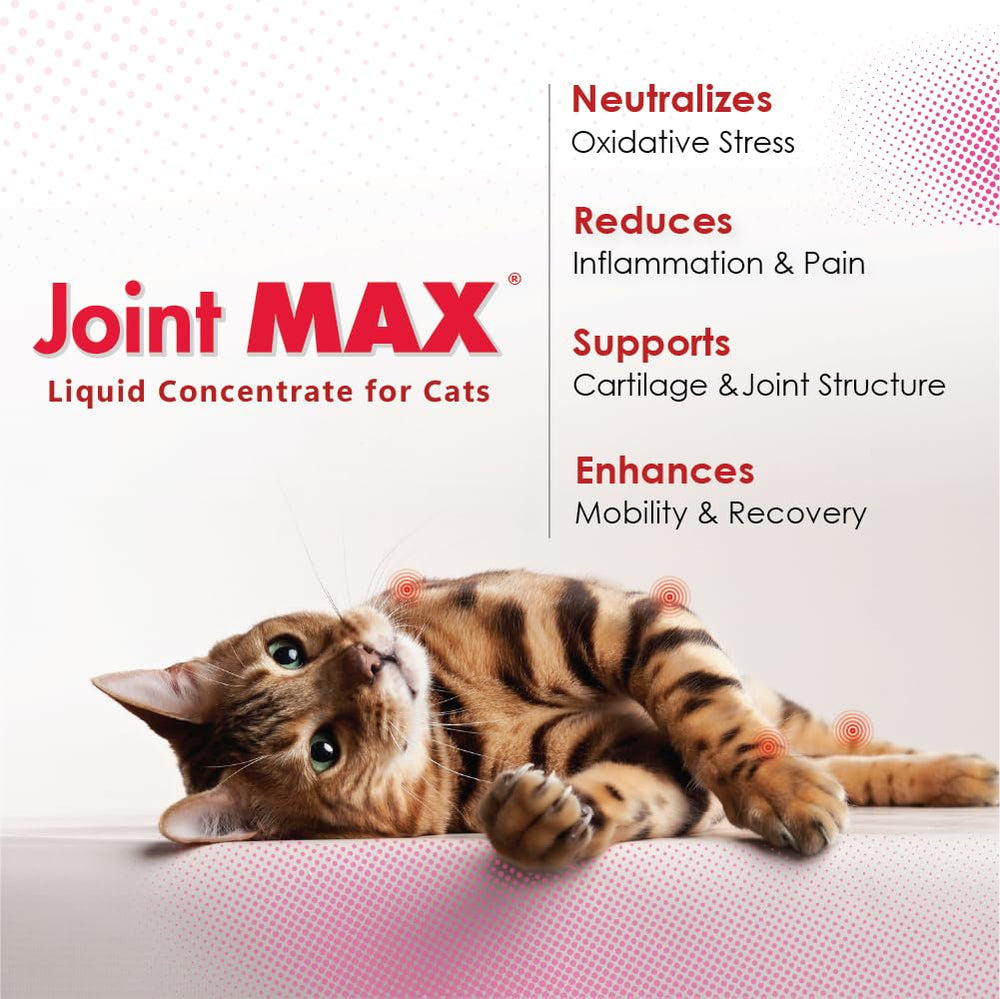Joint Max texture liquide en gouttes pour une absorption rapide