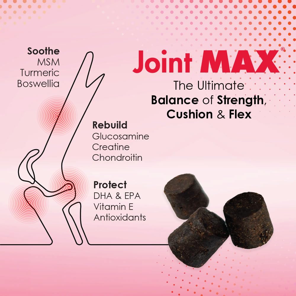 Joint Max TS gros plan texture des soft chews et facilité de mastication