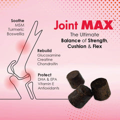Joint Max TS gros plan texture des soft chews et facilité de mastication