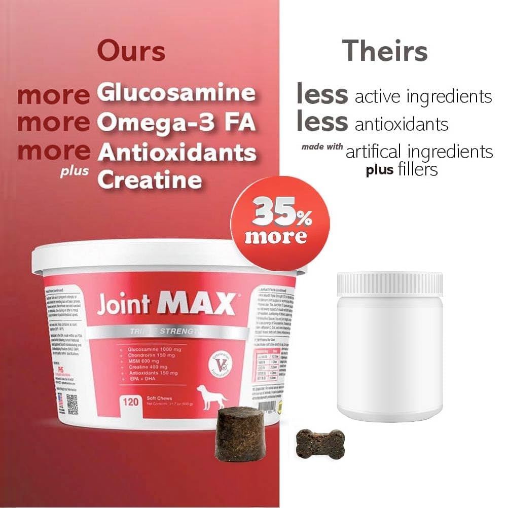 Étiquette Joint Max TS avec composition complète et avantages pour articulations
