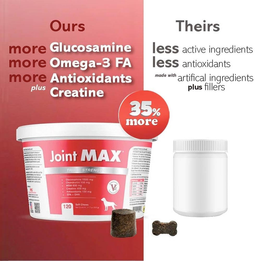 Étiquette Joint Max TS avec composition complète et avantages pour articulations